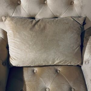 Sofa Pillow Set of 2